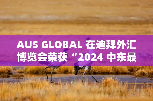 AUS GLOBAL 在迪拜外汇博览会荣获“2024 中东最佳做市商”奖