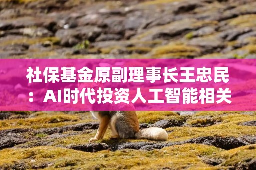 社保基金原副理事长王忠民：AI时代投资人工智能相关ETF成为市场新选择，建议投资踩准时代节奏