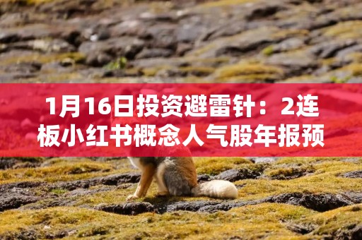 1月16日投资避雷针：2连板小红书概念人气股年报预亏5500万元到7700万元