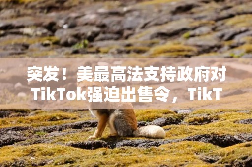 突发！美最高法支持政府对TikTok强迫出售令，TikTok在美或关停