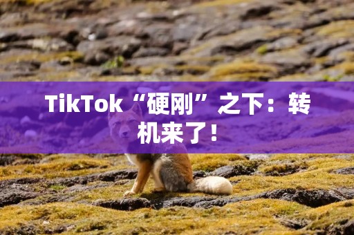 TikTok“硬刚”之下：转机来了！