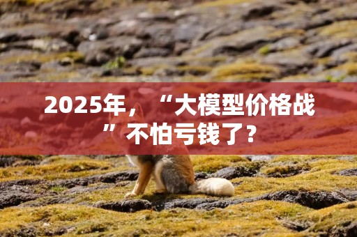 2025年，“大模型价格战”不怕亏钱了？