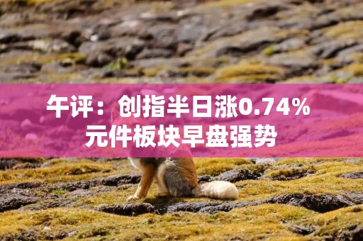 午评：创指半日涨0.74% 元件板块早盘强势