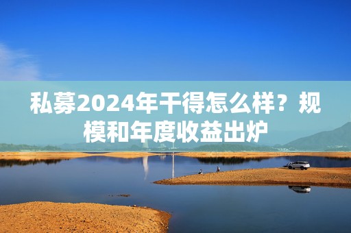 私募2024年干得怎么样？规模和年度收益出炉