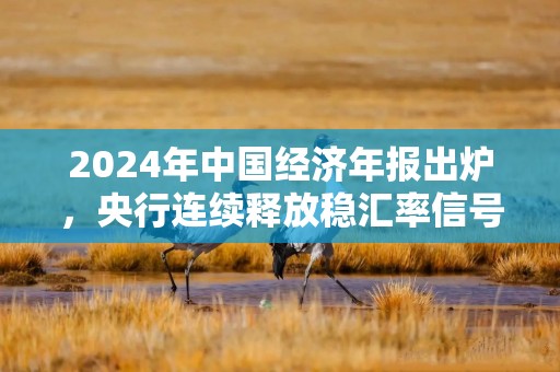 2024年中国经济年报出炉，央行连续释放稳汇率信号丨一周热点回顾