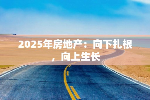 2025年房地产：向下扎根，向上生长