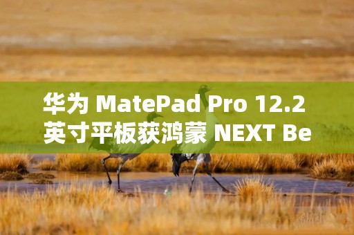 华为 MatePad Pro 12.2 英寸平板获鸿蒙 NEXT Beta 版升级