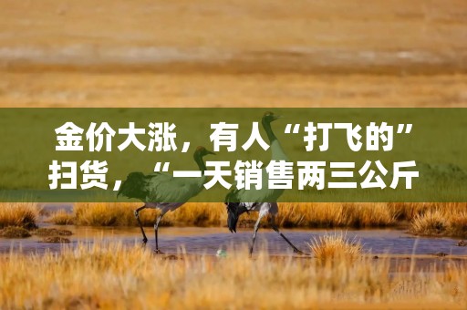 金价大涨，有人“打飞的”扫货，“一天销售两三公斤”！今年还会涨吗？