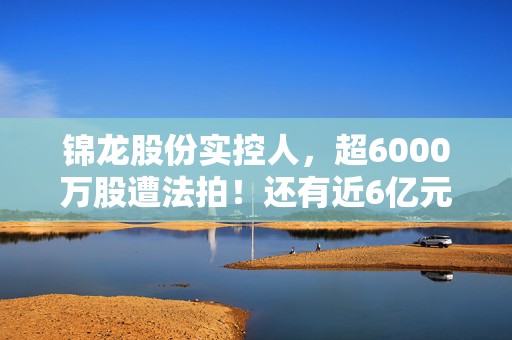 锦龙股份实控人，超6000万股遭法拍！还有近6亿元债务待还