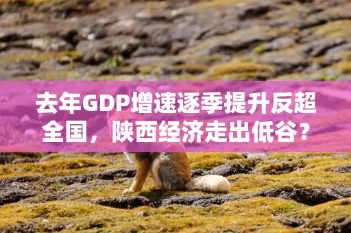 去年GDP增速逐季提升反超全国，陕西经济走出低谷？