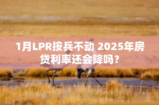 1月LPR按兵不动 2025年房贷利率还会降吗？