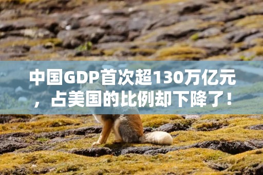 中国GDP首次超130万亿元，占美国的比例却下降了！什么原因造成？