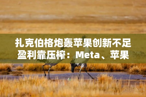 扎克伯格炮轰苹果创新不足盈利靠压榨：Meta、苹果十年恩怨揭秘