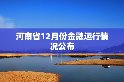 河南省12月份金融运行情况公布