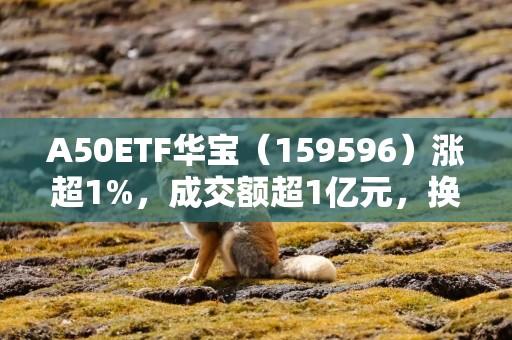 A50ETF华宝（159596）涨超1%，成交额超1亿元，换手率超8%，领跑全市场A50ETF！