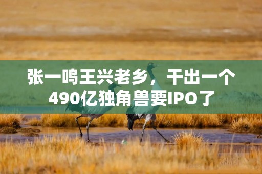 张一鸣王兴老乡，干出一个490亿独角兽要IPO了