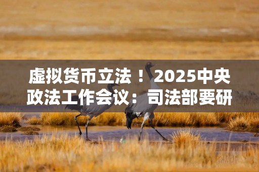 虚拟货币立法 ！2025中央政法工作会议：司法部要研究虚拟货币等问题