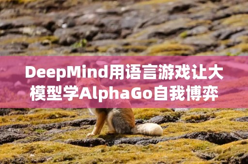 DeepMind用语言游戏让大模型学AlphaGo自我博弈，数据限制不存在了