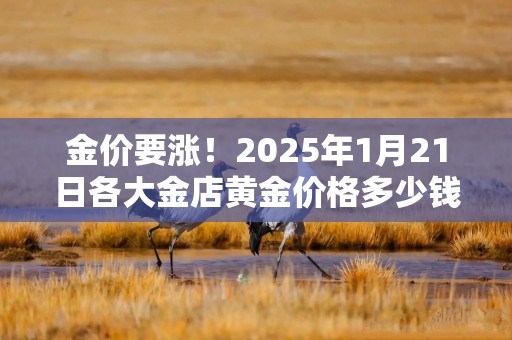 金价要涨！2025年1月21日各大金店黄金价格多少钱一克？