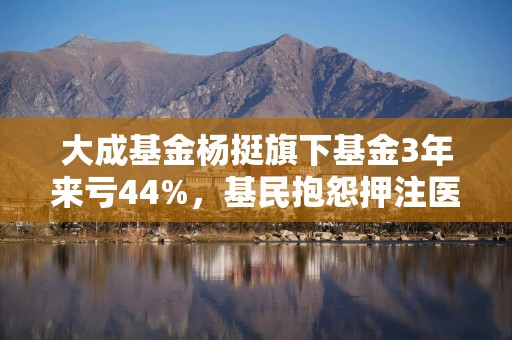 大成基金杨挺旗下基金3年来亏44%，基民抱怨押注医药赛道难见起色