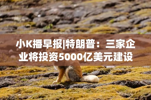 小K播早报|特朗普：三家企业将投资5000亿美元建设AI基础设施 多家芯片公司业绩大幅预增