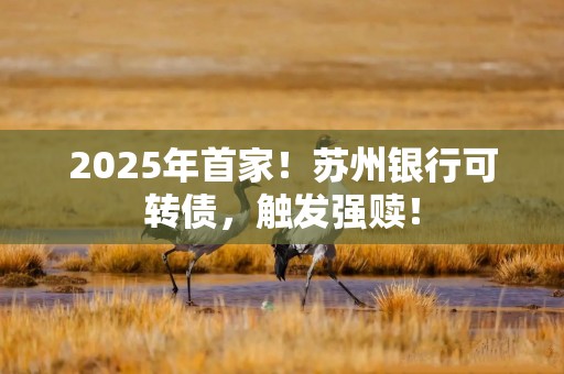 2025年首家！苏州银行可转债，触发强赎！