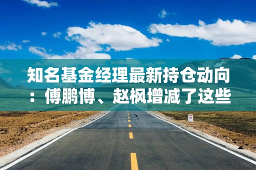 知名基金经理最新持仓动向：傅鹏博、赵枫增减了这些个股