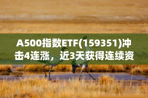 A500指数ETF(159351)冲击4连涨，近3天获得连续资金净流入