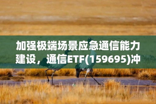 加强极端场景应急通信能力建设，通信ETF(159695)冲击4连涨