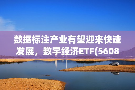 数据标注产业有望迎来快速发展，数字经济ETF(560800)备受关注