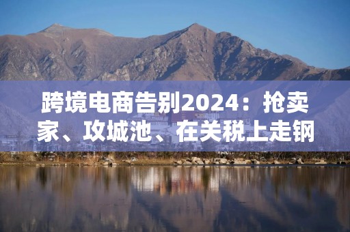 跨境电商告别2024：抢卖家、攻城池、在关税上走钢丝