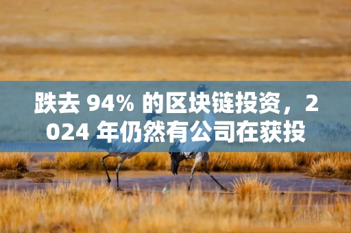 跌去 94% 的区块链投资，2024 年仍然有公司在获投