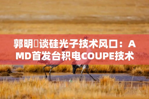 郭明錤谈硅光子技术风口：AMD首发台积电COUPE技术