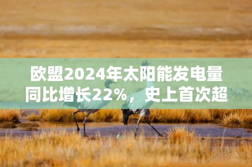 欧盟2024年太阳能发电量同比增长22%，史上首次超过煤炭发电量