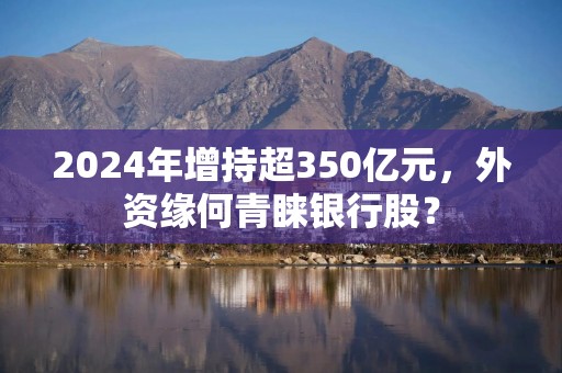 2024年增持超350亿元，外资缘何青睐银行股？