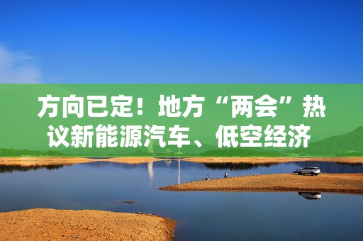 方向已定！地方“两会”热议新能源汽车、低空经济 全产业链提质增效按下 “加速键”