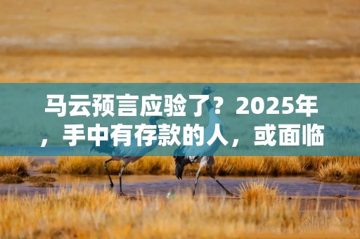 马云预言应验了？2025年，手中有存款的人，或面临2大现实？