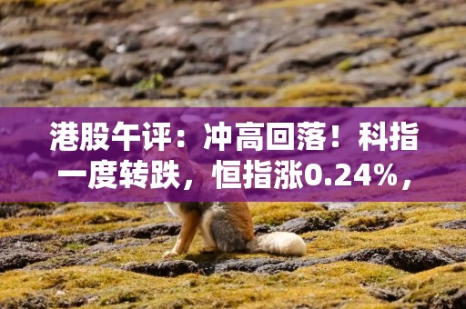 港股午评：冲高回落！科指一度转跌，恒指涨0.24%，金融股、半导体股强势