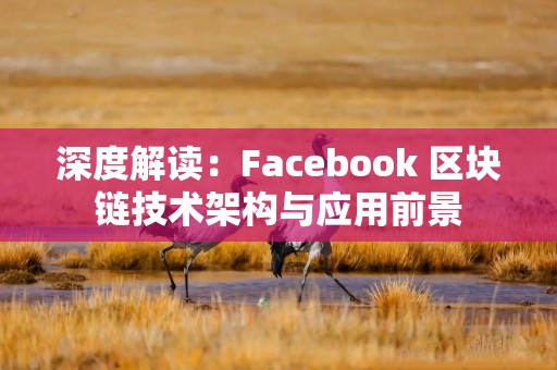 深度解读：Facebook 区块链技术架构与应用前景