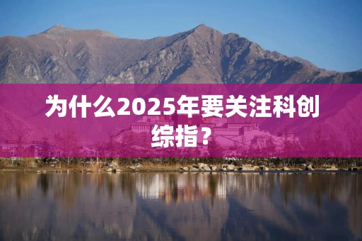 为什么2025年要关注科创综指？