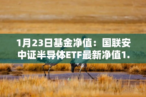 1月23日基金净值：国联安中证半导体ETF最新净值1.0078，跌1.48%