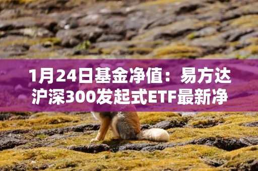 1月24日基金净值：易方达沪深300发起式ETF最新净值3.7717，涨0.83%