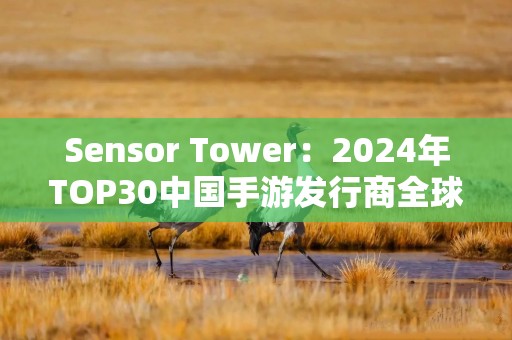 Sensor Tower：2024年TOP30中国手游发行商全球吸金234亿美元，腾讯、网易、米哈游前三