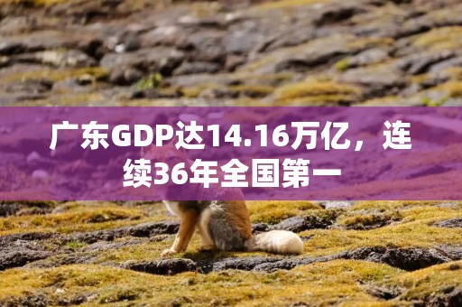 广东GDP达14.16万亿，连续36年全国第一