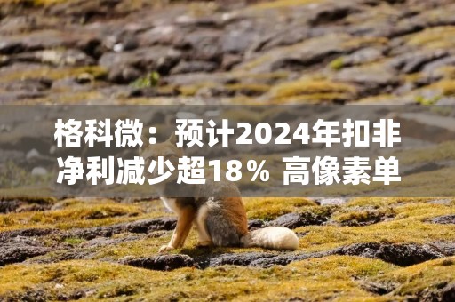 格科微：预计2024年扣非净利减少超18％ 高像素单芯片集成技术落地