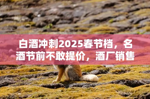 白酒冲刺2025春节档，名酒节前不敢提价，酒厂销售不谈利润：只能说保本卖