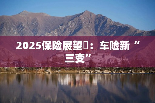 2025保险展望➂：车险新“三变”