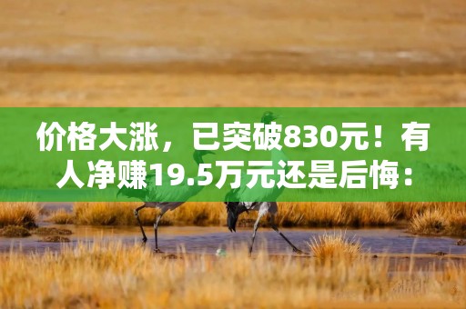 价格大涨，已突破830元！有人净赚19.5万元还是后悔：卖早了