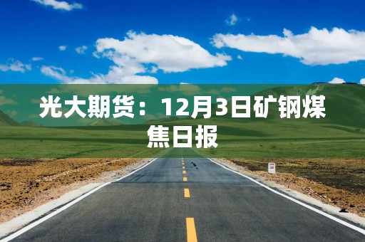 光大期货：12月3日矿钢煤焦日报