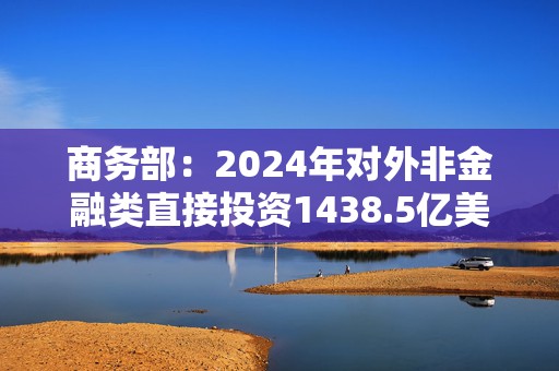 商务部：2024年对外非金融类直接投资1438.5亿美元 较上年增长10.5%